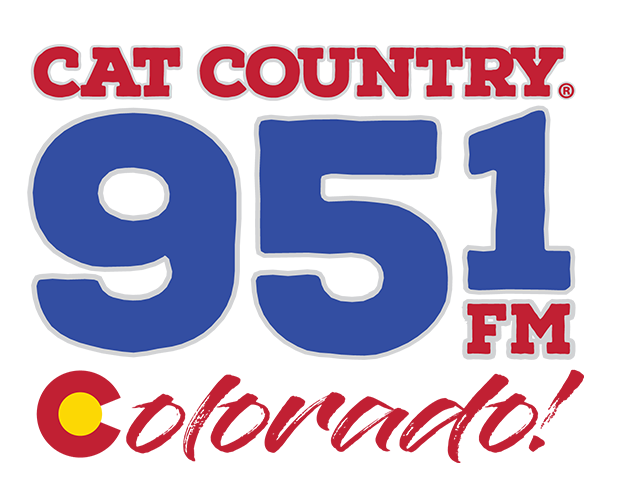 95.1 Radio
